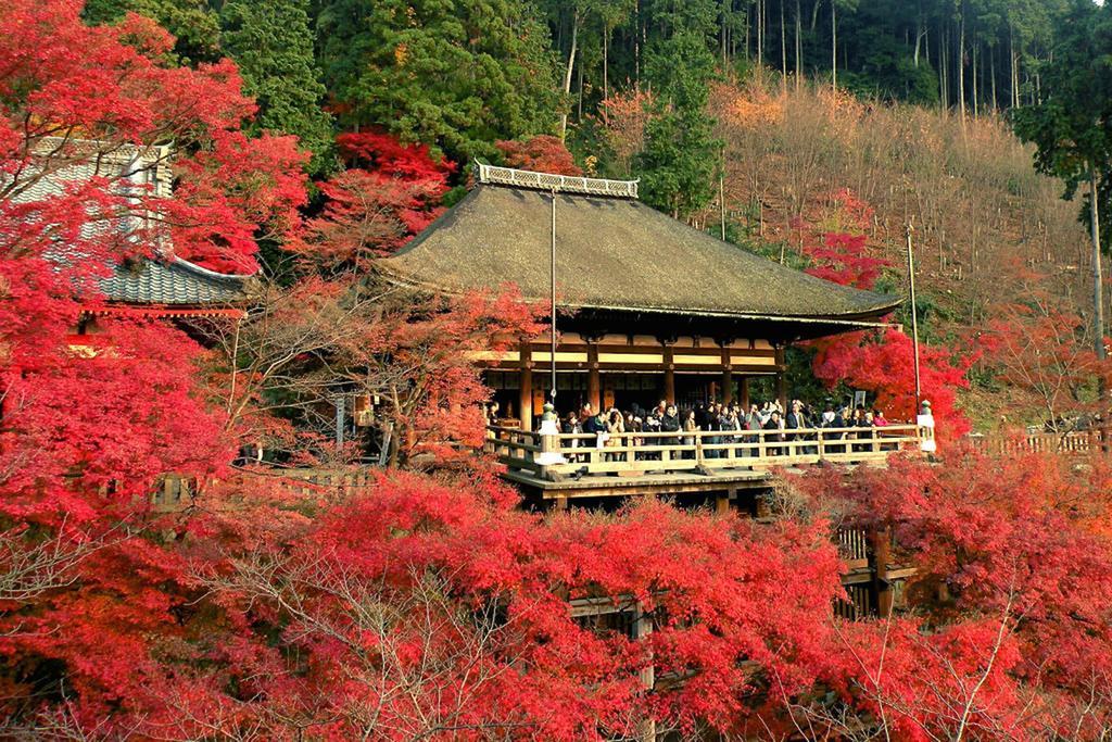 Villa Rin Kyoto Kinkaku-Ji Temple Esterno foto